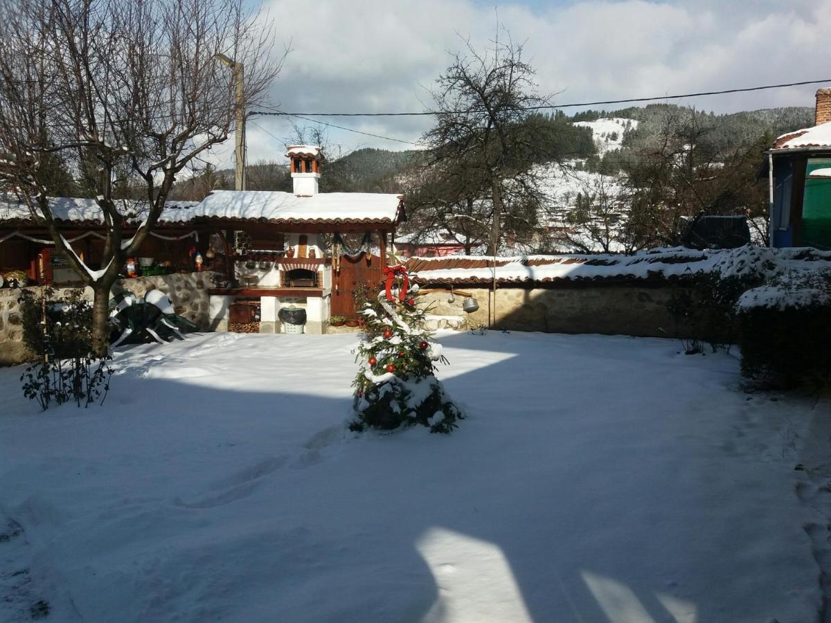 Guest House Bolyarka Kopriwschtiza Exterior foto